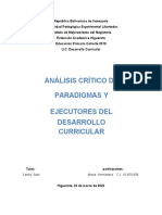 Analisis Crítico Paradigma Desarrollo Curricular