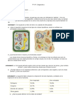 TP #1 Diagnóstico BIOLOGÍA 2° - 2021