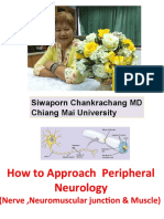 Approach For Peripheral Neurology 31 May 2011