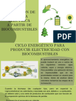 Obtención de Energía Termoeléctrica A Partir Del Uso de Biocombustibles Primera Part