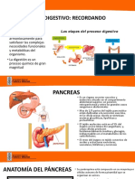 Teoría - Pancreatitis