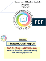 L3 Infratemporal Region