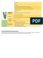 Caracterizacion de Los Aceites Esenciale