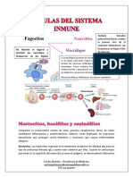 Arquitectura Del Sistema Inmune