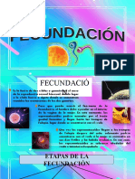 Fecundacion