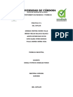 INFORME N2 Cosmetologia Gel Capilar-1