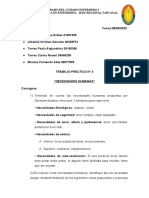 TRABAJO PRACTICO N°3 Necesidades