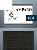 El Amparo 2