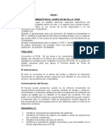 Resumen de Los 4 Pasos Del Picb