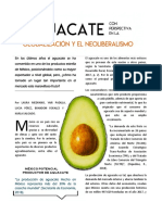 Artículo Aguacate