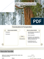 G10 Bio 4. Translocation and Transpiration