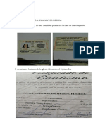 Documento de Guia Mayor