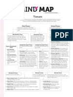 Tissues: Animal Tissues Plant Tissues