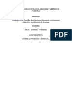 Caso Sauber - Plan. Plantillas y Descr. de Puestos