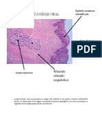 Patologia Cavidad Oral