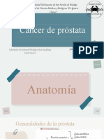 Cáncer de Próstata