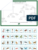 Au SC 2445 Dichotomous Key For Animals Matching Game Ver 6