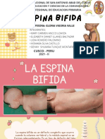 Espina Bifida