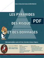 La Pyramide Des Risques Et Des Dommages