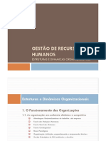 1 - 1 - Funcionamento Das Organizações em Ambiente Dinamico e Competitivo