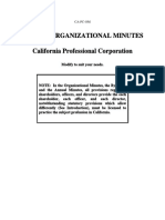 Sample Organizational Minutes California Professional Corporation