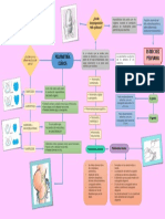 Diagramas de Flujo Semana 8