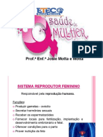 Saude Da Mulher Anatomia Sistema Reprodutor