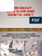 More About Gene Flow and Genetic Drift