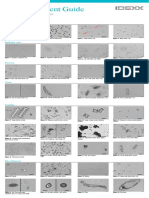 Urine Sediment Guide: All Images From The Sedivue DX Urine Sediment Analyzer