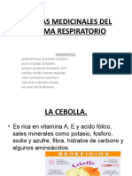 Plantas Medicinales Del Sistema Respiratorio.