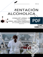 Fermentación Alcoholica