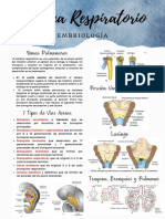 Sistema Respiratorio Embriología