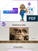 Huesos de La Cara