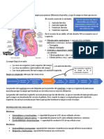 Actividad cardiaca-RESUMEN