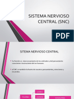 Sistema Nervioso Central (SNC)