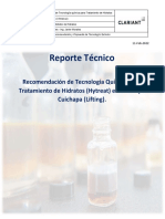 Reporte Tecnico - Inhibidor de Hidratos (Lifting)