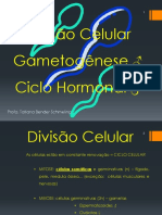 Aulas 03 e 04 - Revisão de Meiose, Estrutura Do Aparelho Reprodutivo Masculino, Ciclo Hormonal e Espermatogênese OK