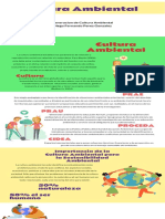 Infografia Cultura Ambiental