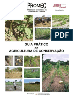 Guia Pratico - Agricultura de Conservacao