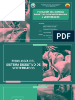 SEMANA 13 - Digestion Vertebrados e Invertebrados