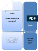 Delitos en Materia Ambiental - Ensayo - Castillejosr - A2u9 - Dep