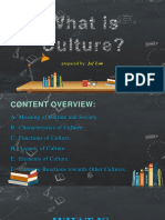 PPC Discussion 1 What Is Culture