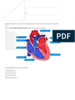 El Corazón Report