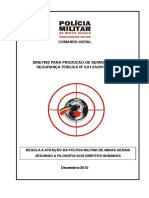 TEXTO 04 - Diretriz para Produção de Serviços de Segurança Pública N° 3.01.052010-CG