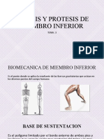 Ortesis y Protesis de Miembro Inferior