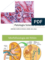 Patologia Renal