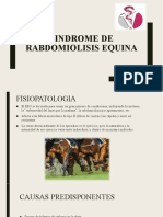 RABDOMIOLOSIS