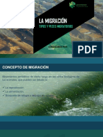 La Migración y Los Peces Migratorios