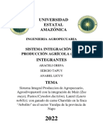 Proyectos de SIPA CORREGIDO Grupo 1