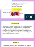 Urologia